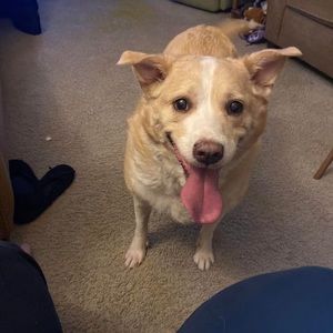 Meet your Posher, Kris